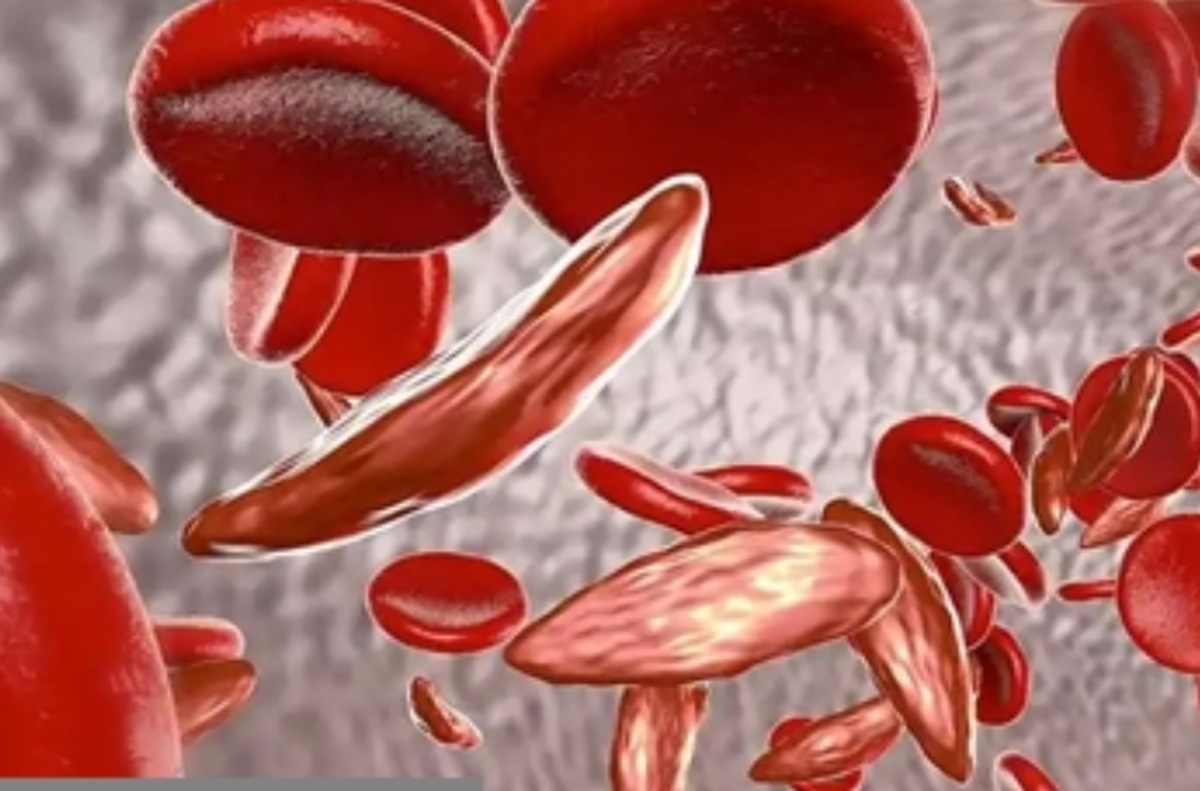 بتا تالاسمی مینور چگونه انتقال می‌یابد؟