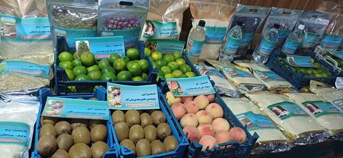 افزایش ظرفیت فرآوری محصولات کشاورزی در سیستان و بلوچستان