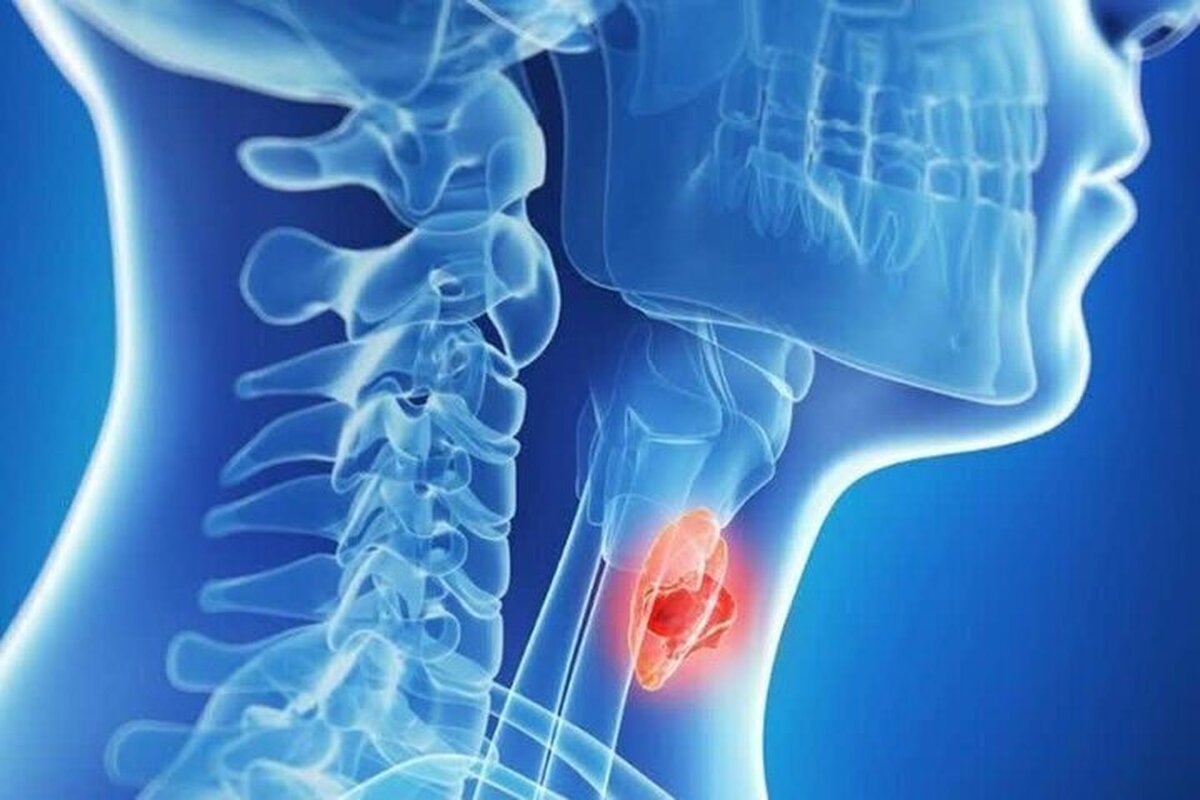 تیروئید چه نقشی در بدن دارد؟