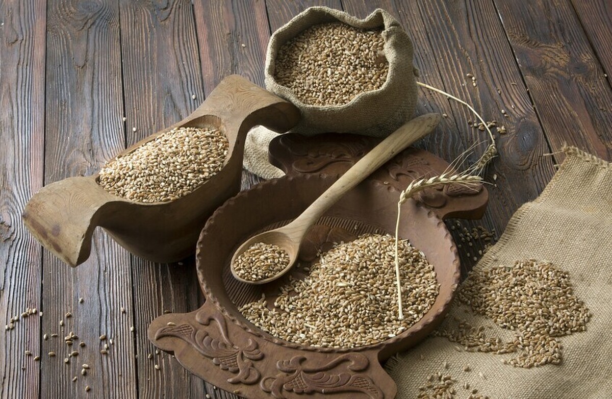 گندم روسیه یک سوم بازار آفریقا را تشکیل می‌دهد