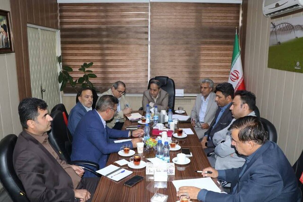 توسعه کشت قراردادی در زنجیره تأمین سه محصول راهبردی، اولویت سال ۱۴۰۴ است