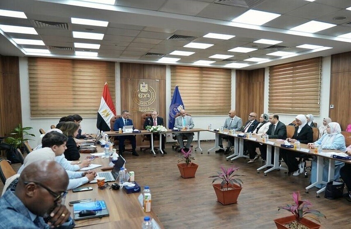 همکاری استراتژیک مصر و الجزایر در بخش داروسازی