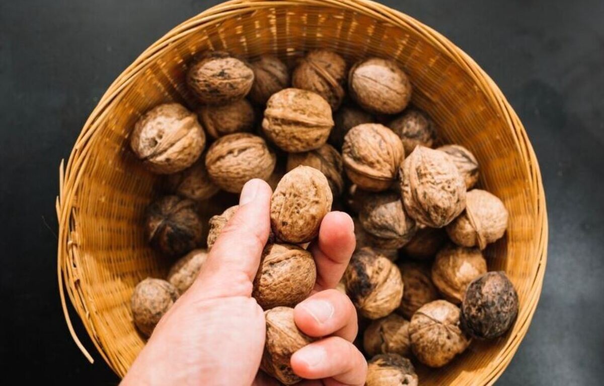 تاثیر باور نکردنی گردو در درمان سرفه را دست کم نگیرید