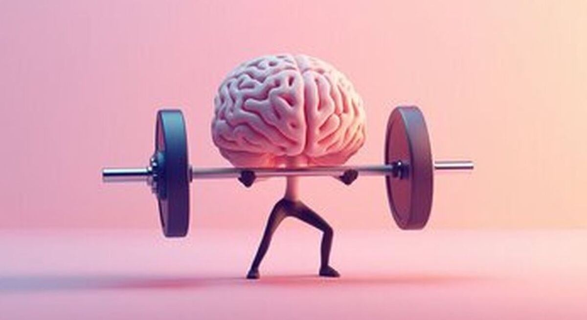 دانه‌های مفید تقویت کننده مغز را بیشتر بشناسید
