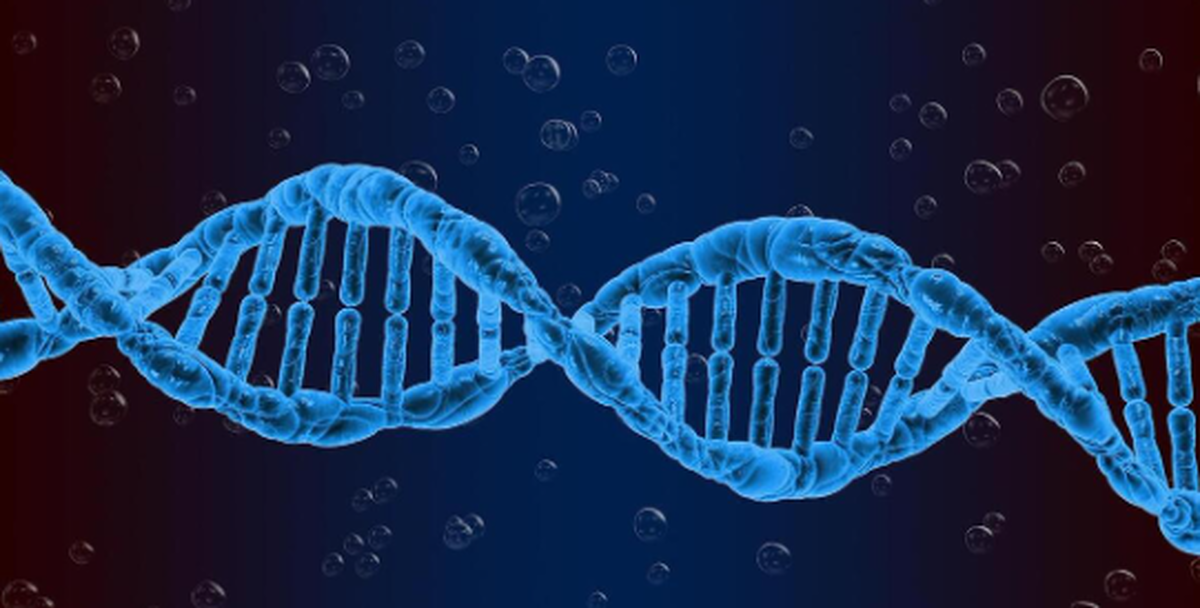 نحوه تعامل نانوساختار‌های DNA با غشا‌های لیپیدی سلول کشف شد!