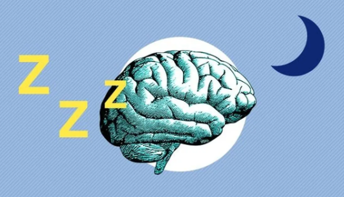 ورزش‌های مخصوص مغز را بشناسید!