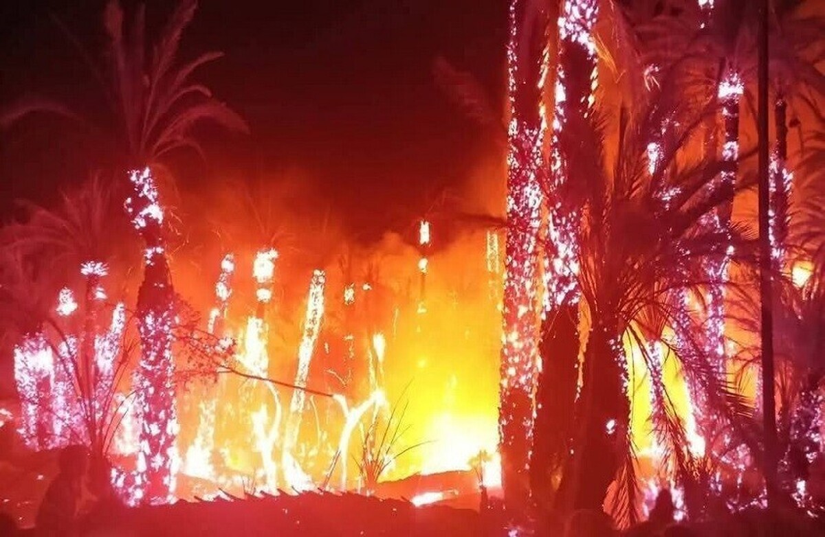 مراکش: آتش‌سوزی گسترده بیش از ۳ هکتار از نخلستان‌های جنوب کشور را سوزاند