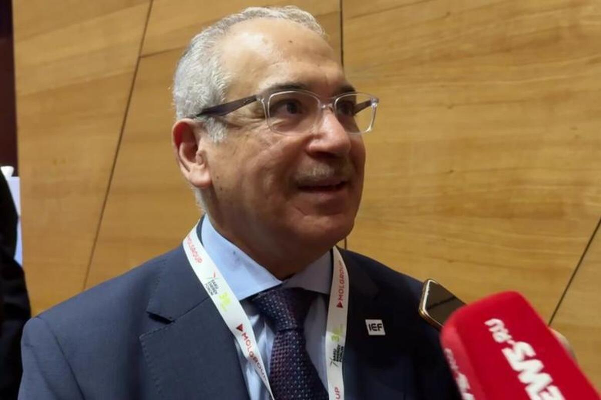 «باید همه چیز را داشته باشیم»: دبیرکل مجمع بین‌المللی انرژی درباره اهمیت انرژی‌های جایگزین