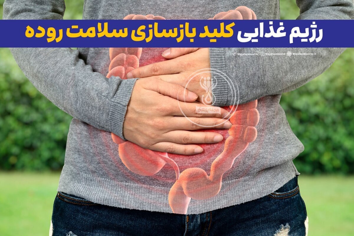 میکروب‌های مفید در کدام رژیم غذایی ایجاد میشوند؟