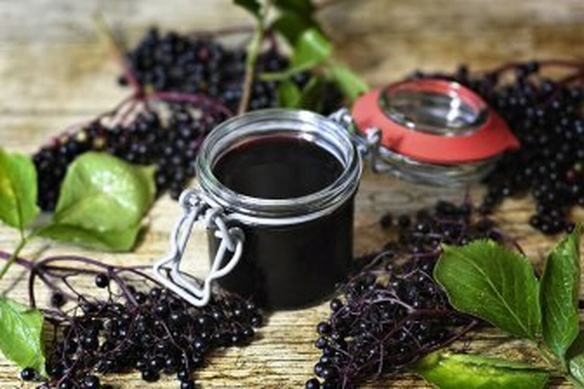 Nutrients: آب میوه آقطی به بهبود متابولیسم و ​​مدیریت وزن کمک می‌کند