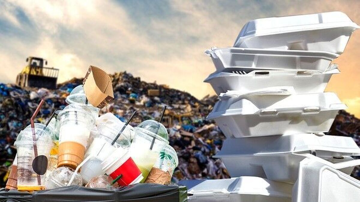 ظروف یکبار مصرف دشمن ردیف اول طبیعت