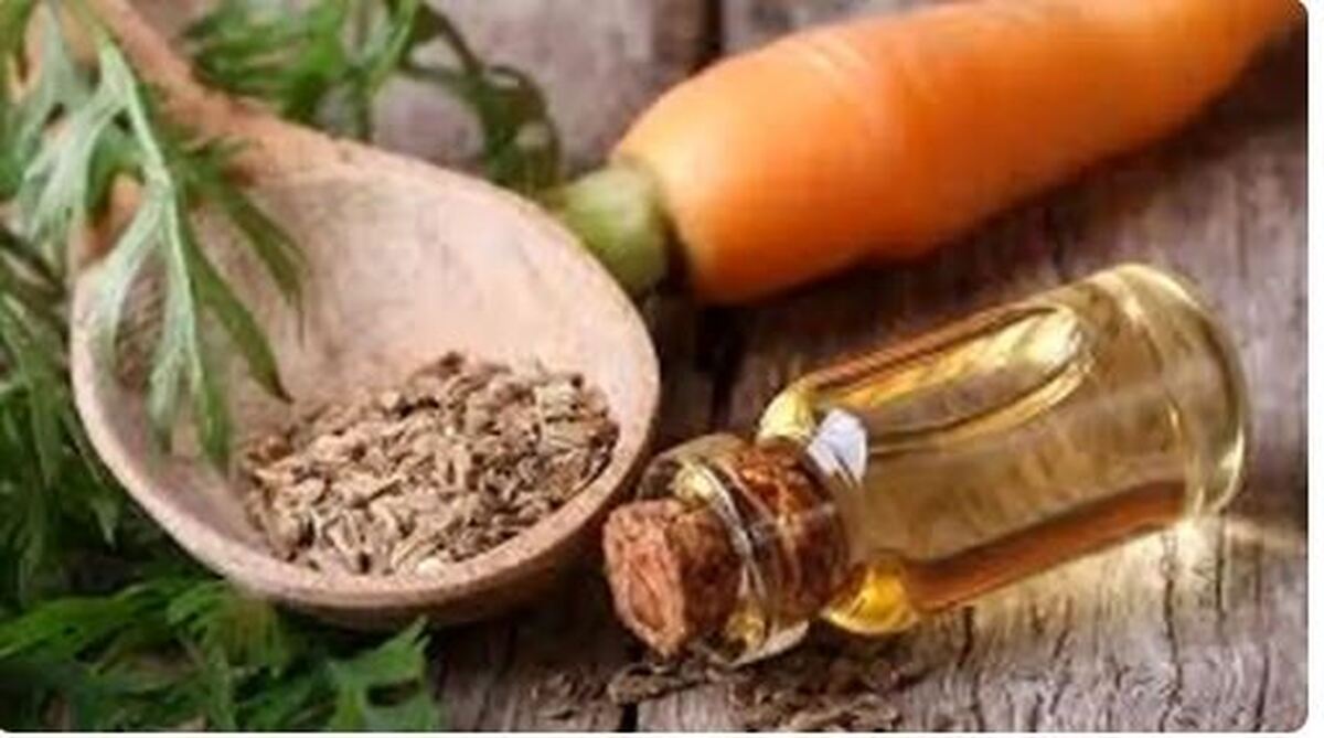 رفع موخوره و بازگشت سلامت مو با روغن هویج
