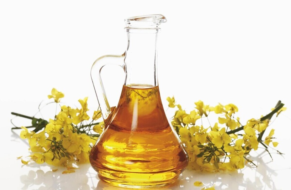 برای اولین بار در تاریخ، روسیه با صادرات جدید به بازار مراکش نفوذ می‌کند