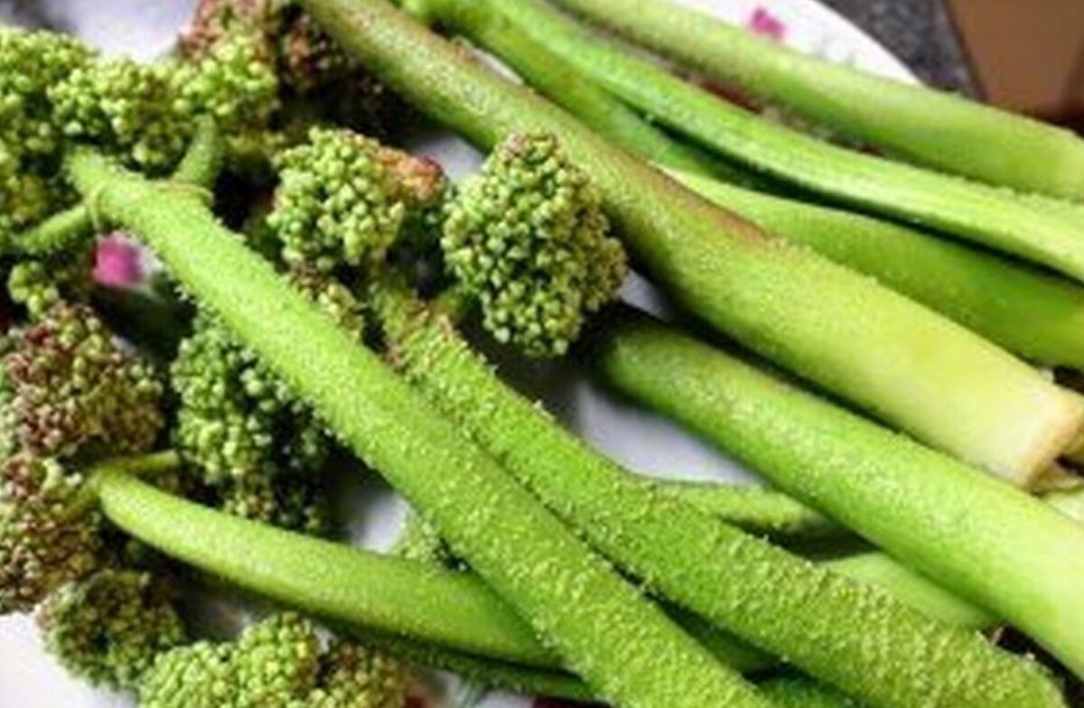 با خواص درمانی و معجزه آسای ریواس بیشتر آشنا شوید