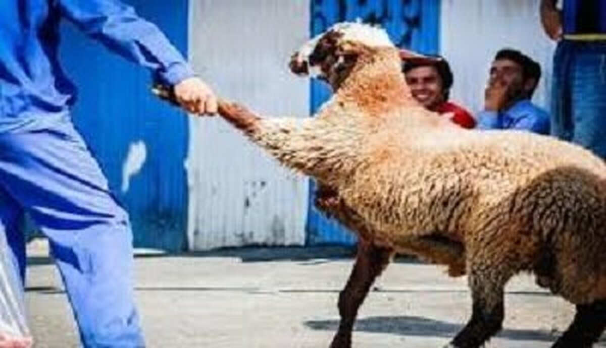 افتتاح «قربانگاه» کمیته امداد امام خمینی (ره) در کلاله