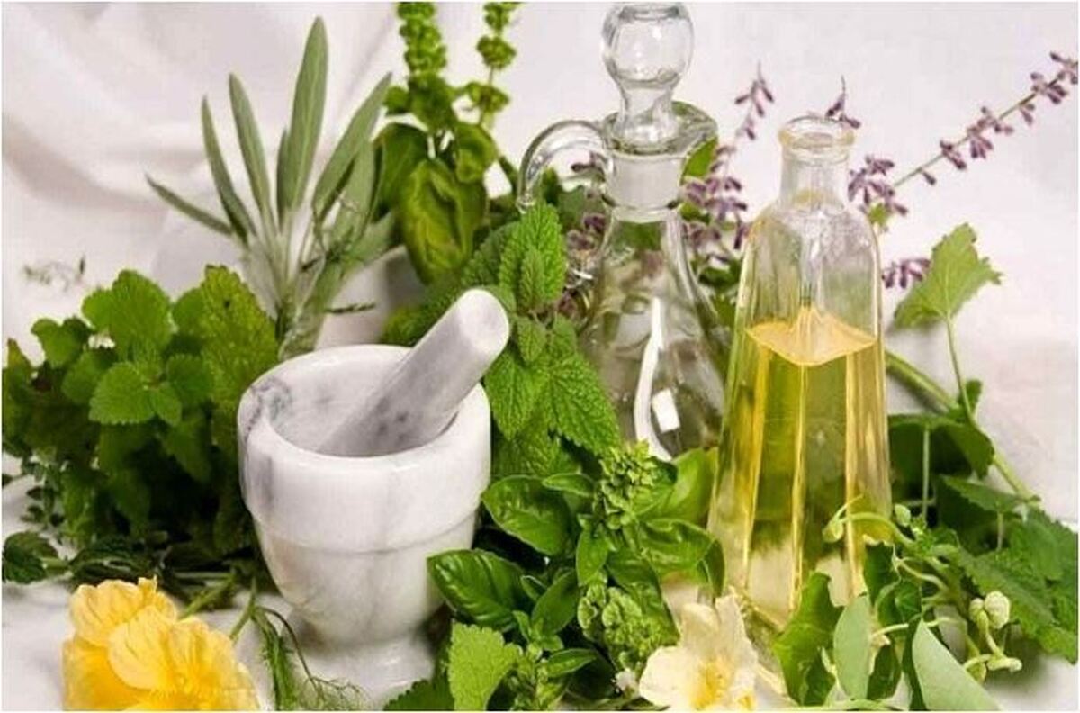 گیاهان دارویی موثر در دفع سنگ کلیه کدامند؟