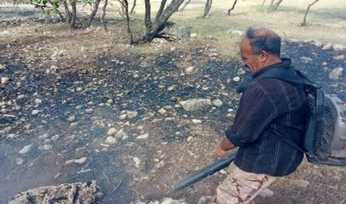 آتش‌سوزی جنگل‌های گورو باشت مهار شد