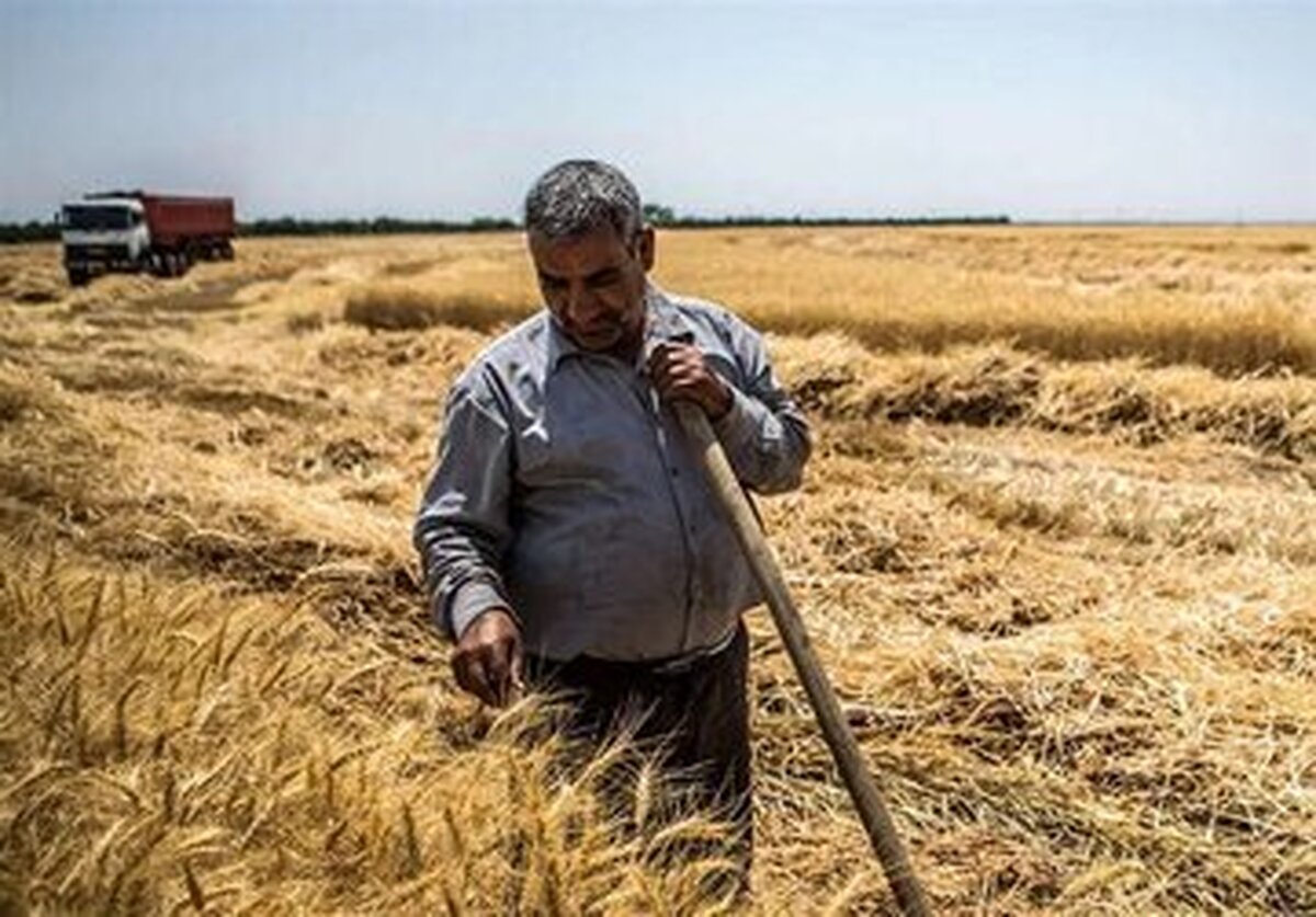 اجرای طرح کالا برگ با تهیه منابع مناسب