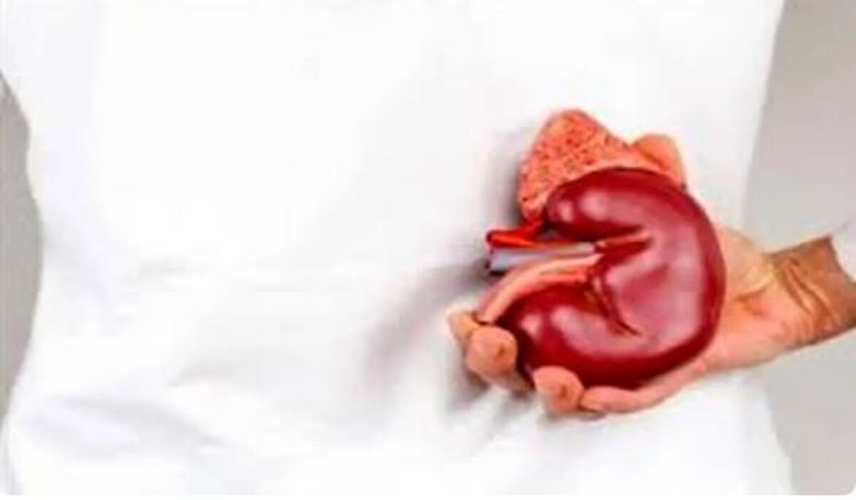رژیم غذایی مناسب برای مراحل پیشرفته بیماری کلیوی که حتما باید بدانید