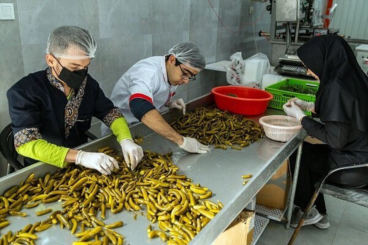 ایجاد مشاغل خانگی مبتنی بر مزیت‌های هر شهرستان در گیلان/ پرداخت تسهیلات ۱۳۵ میلیاردی اشتغال