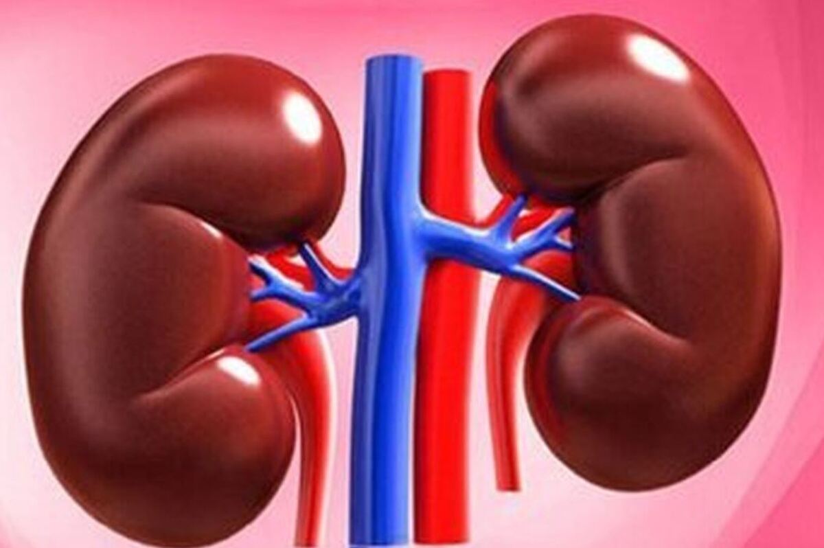 چگونه از بروز بیماری‌های کلیوی پیشگیری کنیم؟