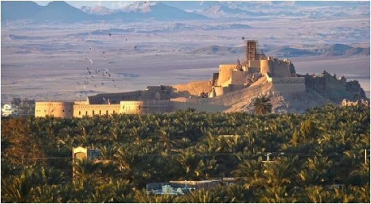 چند سودجو به جان باغ شهر جهانی بم افتادند