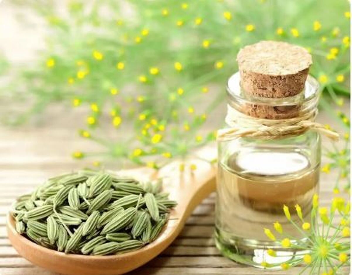 خداحافظی با هر نوع دارو شیمیایی بعد از فهمیدن خواص روغن رازیانه