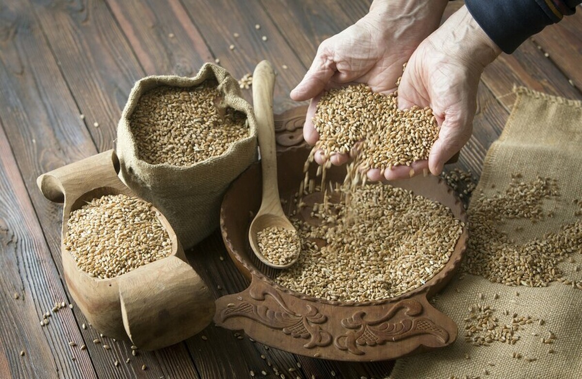 سه کشور عربی، واردکنندگان اصلی گندم روسیه در آفریقا هستند