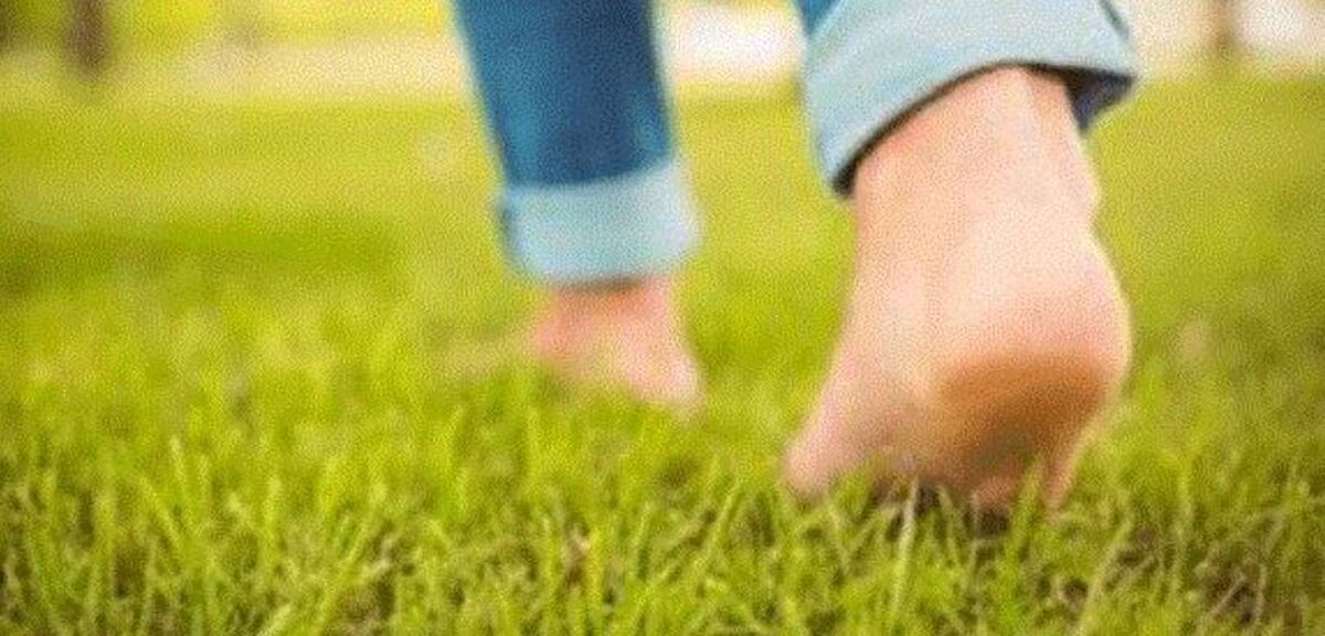 با مزایا و فواید «پیاده روی ژاپنی» بیشتر آشنا شوید