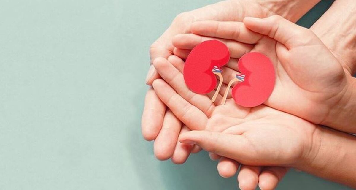 مراقب سلامت کلیه هایتان در این هوای گرم تابستانه باشید