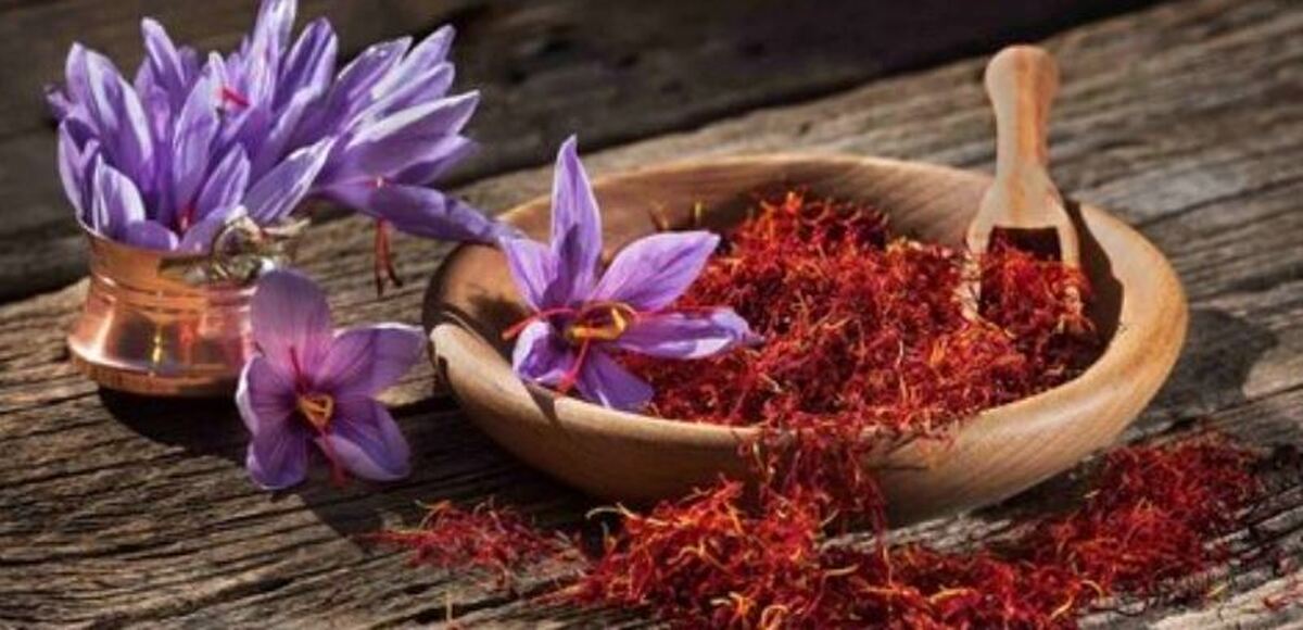 معرفی خواص درمانی و کاربرد‌های مختلف زعفران+موارد منع مصرف