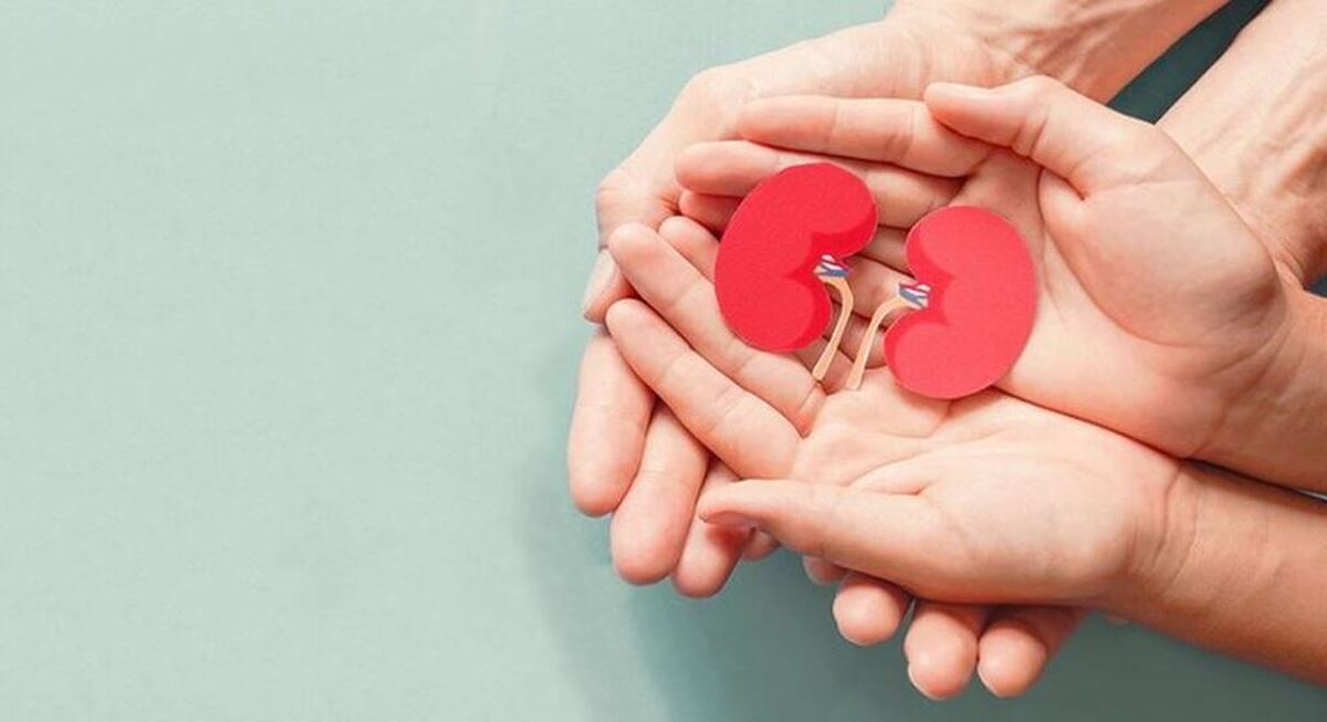 با این داروی گیاهی از شر سنگ‌های کلیه راحت شوید