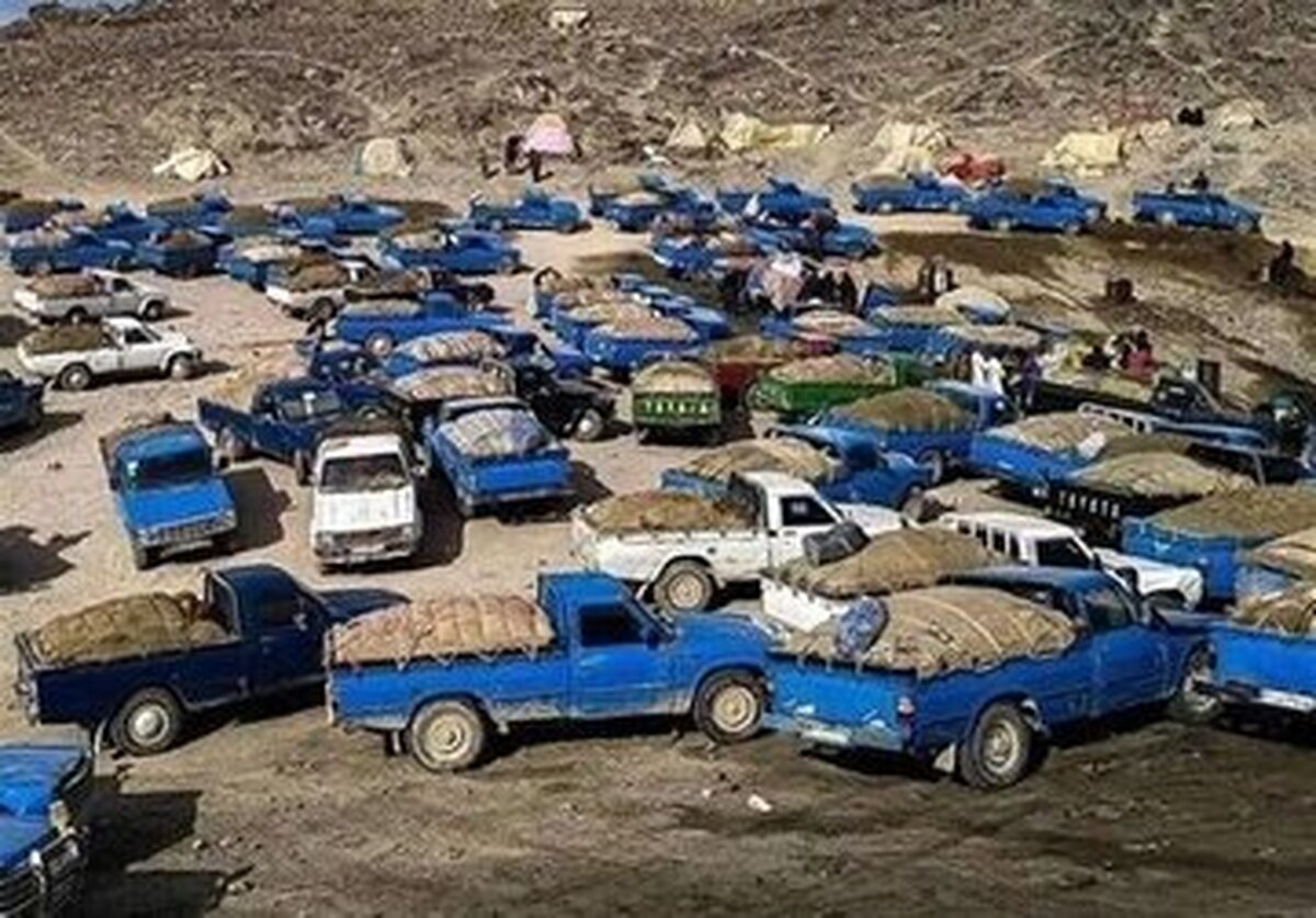 حجم ذخیره مخازن سوخت قاچاق در بندر کلاهی با تولید روزانه یک پالایشگاه برابری می‌کند