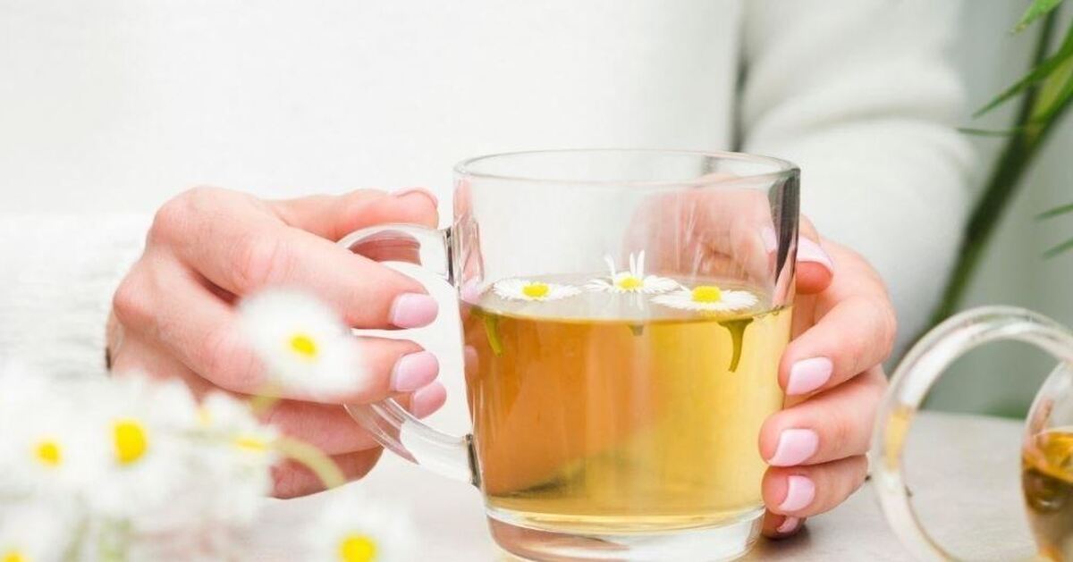 معرفی خواص چای بابونه از دیدگاه علمی