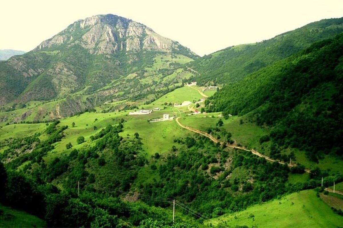 جنگل دیزمار؛ بهشتی مخفی در دل آذربایجان شرقی