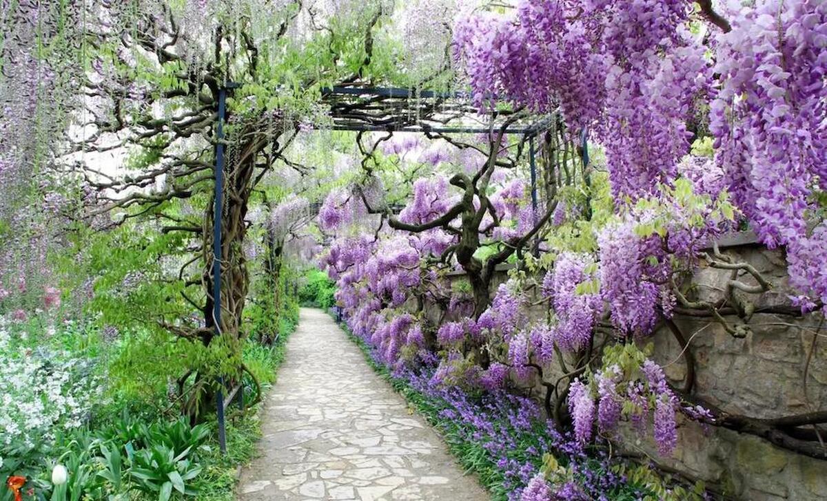 چرا باغ‌های ژاپنی باعث کاهش استرس و آرامش خاصی در انسان می‌شوند؟