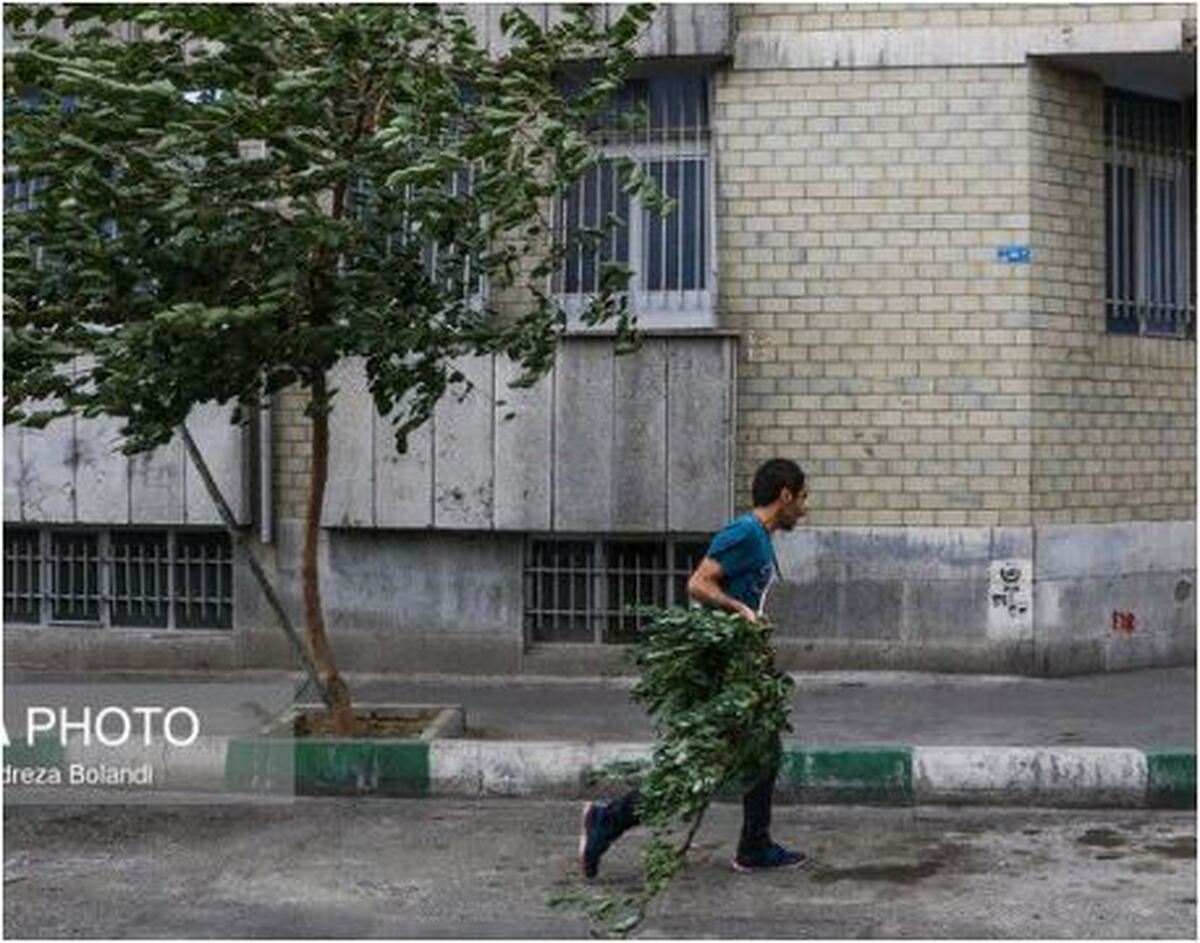 هشدار زرد هواشناسی برای این استان صادر شد