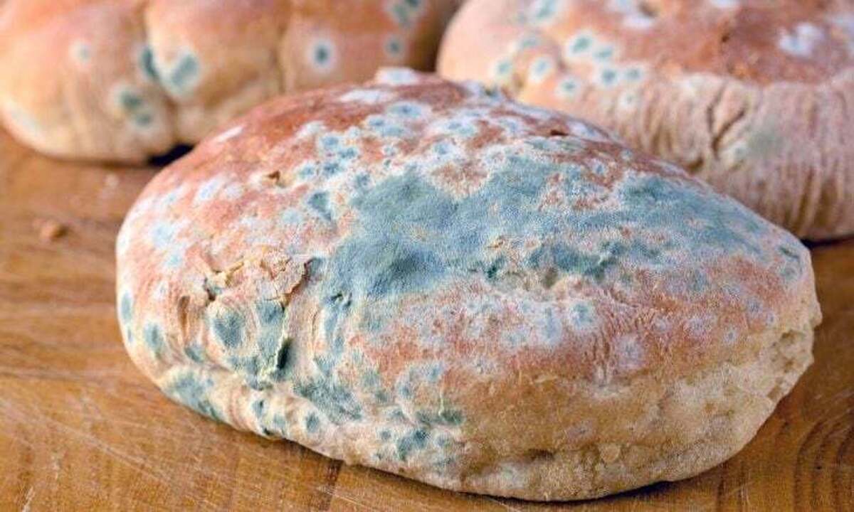 وقتی نان کپک زده می‌خورید واکنش بدن چیست؟