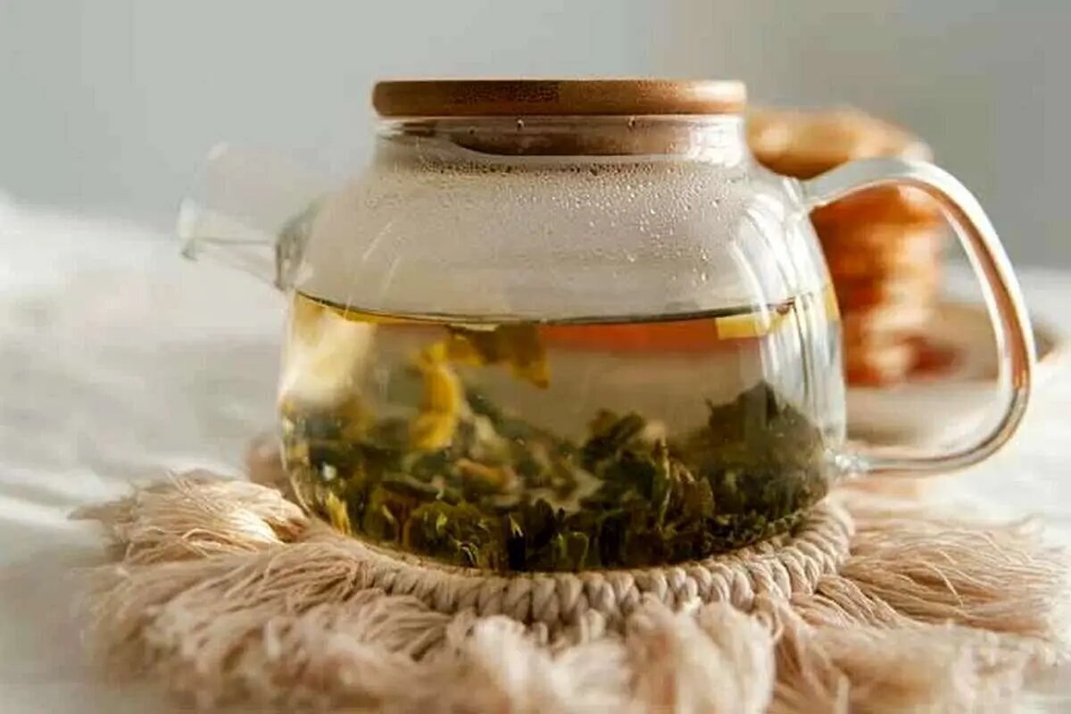 معجزه چای برگ انجیر برای سلامتی!