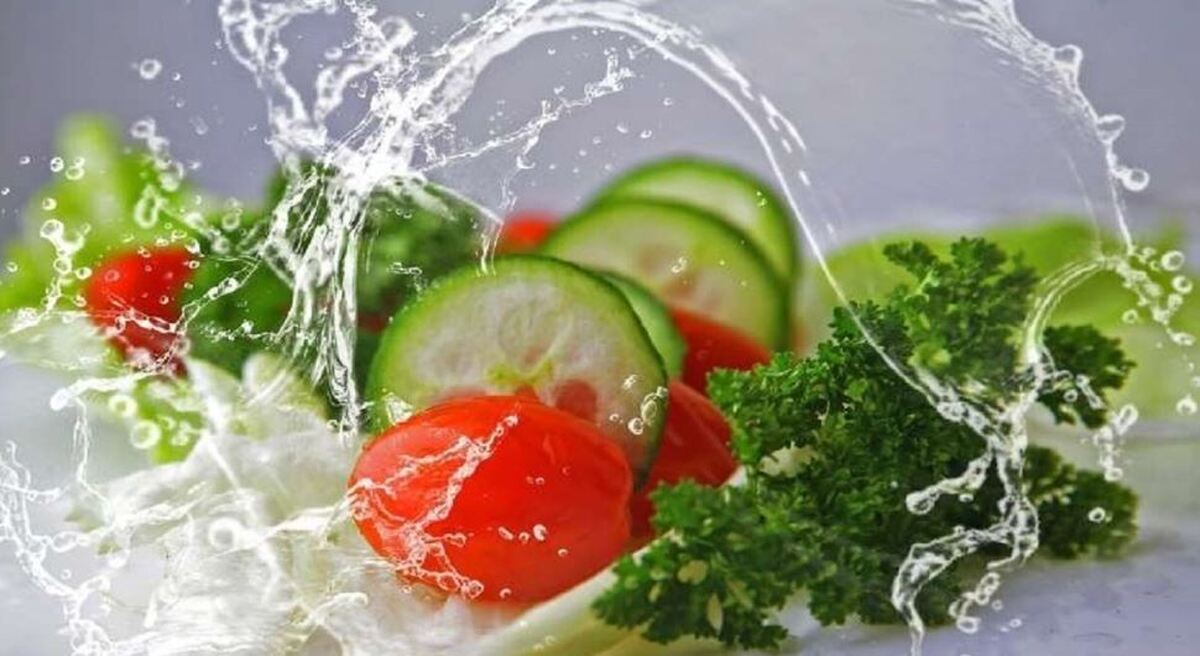 نتیجه جالب بررسی متخصصان تغذیه درمورد گیاهخواری