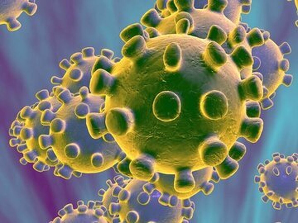 HPV از طریق آب استخر منتقل میشود؟