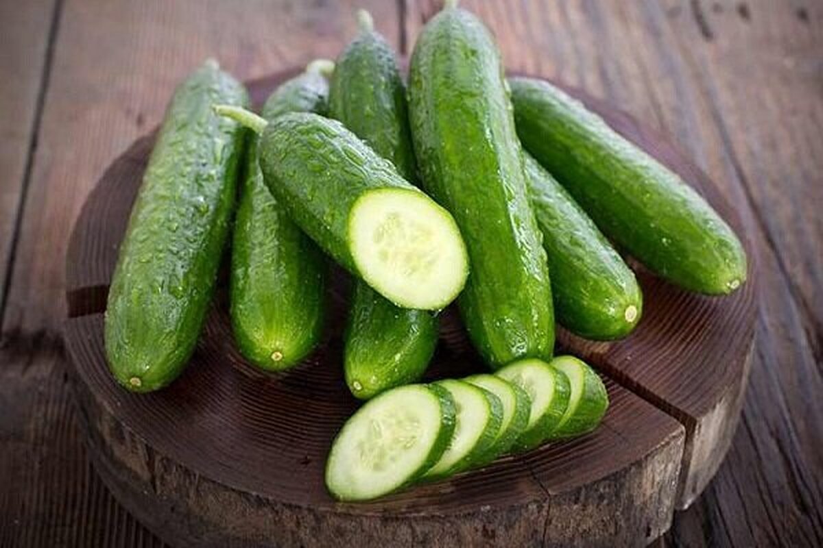 خیار میوه است؟ انواع خیار را بشناسید!