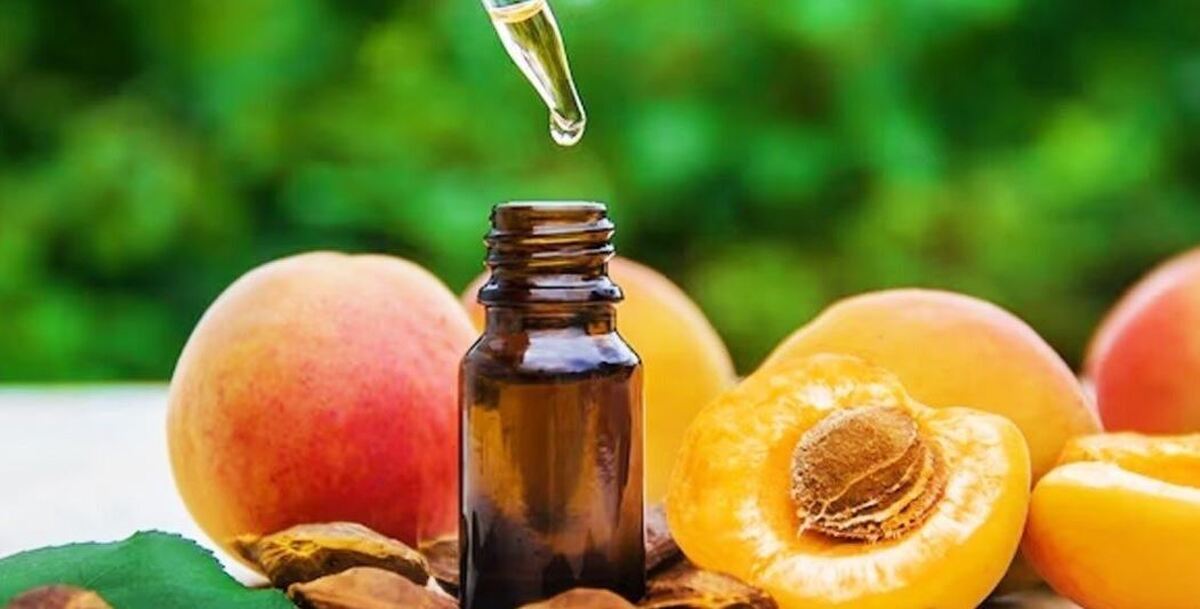 مشکلات کبدی را با این میوه پر طرفدار درمان کنید