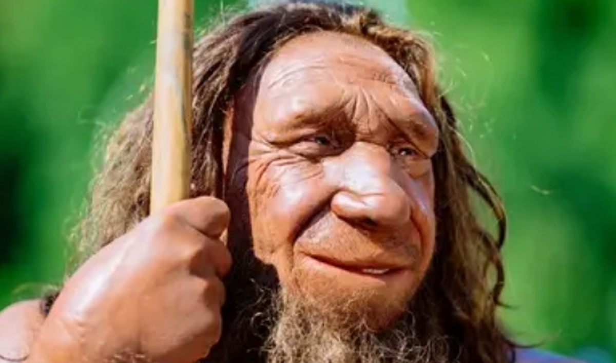 دیانای نئاندرتالها هنوز در انسانها وجود دارد؟