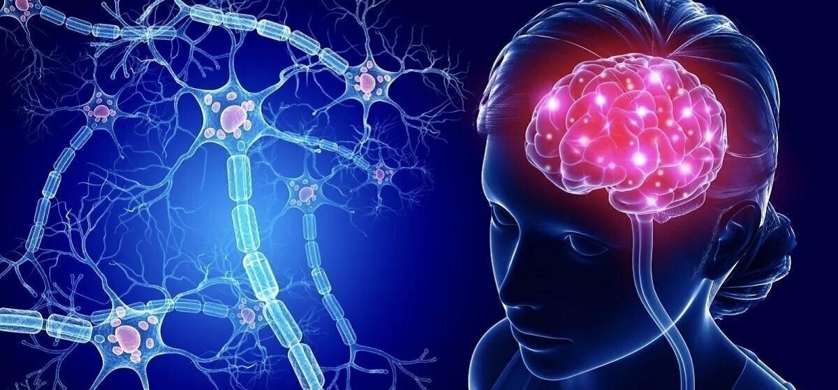 بالا و پایین رفتن از پله‌ها مفید برای سلامت مغز!