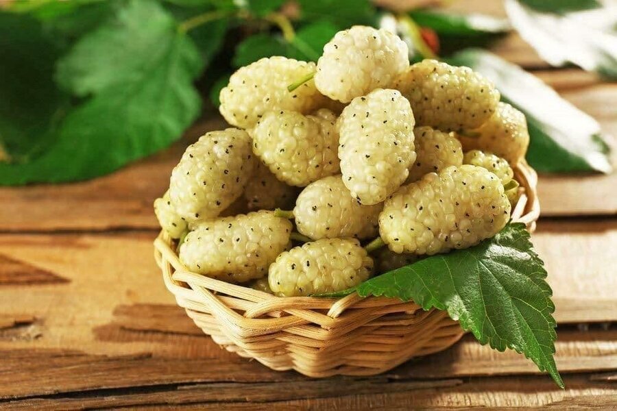 چرا نباید از خوردن توت سفید غافل شویم؟