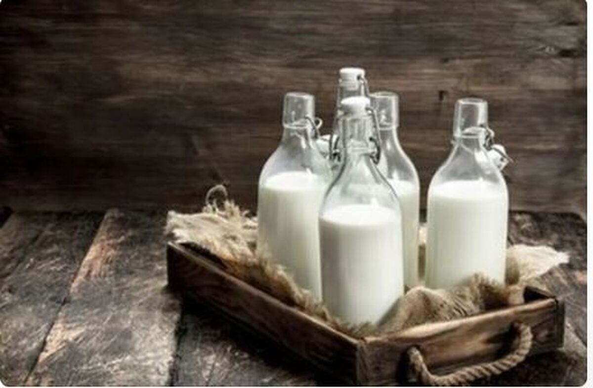 یکبار برای همیشه؛ قبل از خواب شیر گرم بخوریم با سرد؟