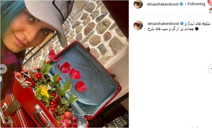یک چمدان متفاوت و سوپرایز برای الناز شاکر دوست+عکس