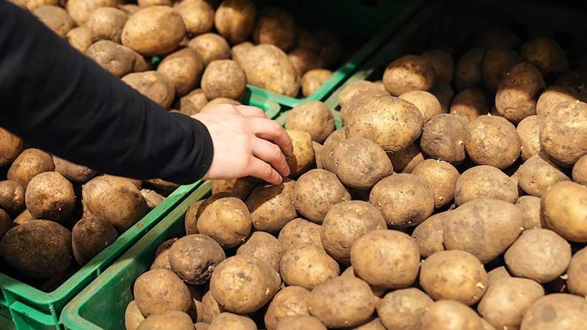 لوکاشنکو دلیل کمبود سیب‌زمینی در بلاروس را اعلام کرد