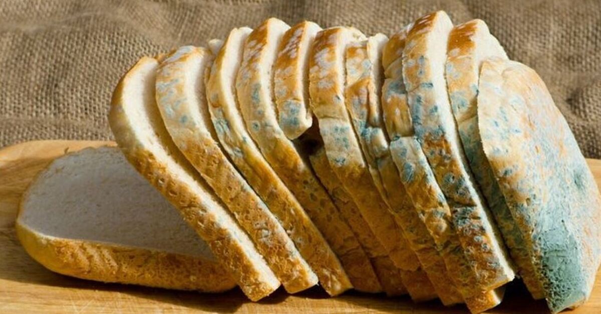 اگر کپک بخوریم چه اتفاقی در بدن مان می‌افتد؟